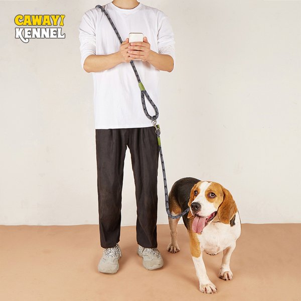 Laisses réfléchissantes en Nylon, chaîne pour chien de compagnie, corde de Traction pour courir, mains libres, chaîne pour petit, moyen et grand chien Chihuahua