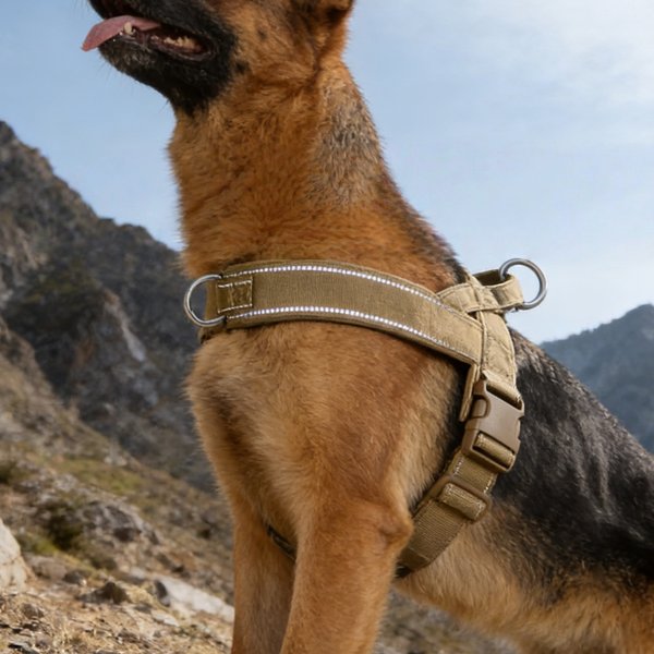 Harnais tactique anti-traction pour chien de grande race : Gilet robuste avec bande réfléchissante, réglable et rembourré pour un contrôle optimal et pour les chiens qui tirent
