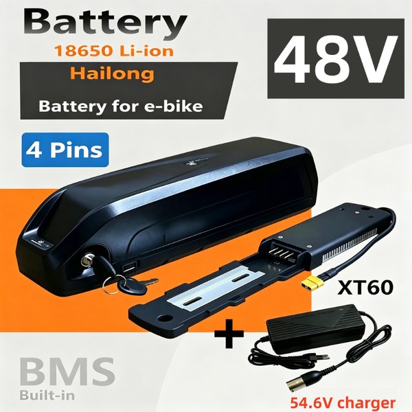Stock UE, batterie Hailong pour vélo électrique 48V USB 18650 BBS02 BBS03 BBSHD 20Ah 30Ah 40Ah 300W/500W/800W/1000W, moteur octogonal pour vélo électrique, + chargeur 54.6V2A