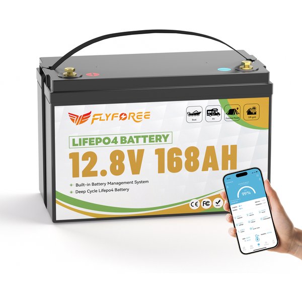 Deutschland Lager Fllyrower 12v 10Ah 12Ah 20Ah 100Ah 120AH 168AH 180Ah 300Ah Lithium-Eisenphosphat-Pack Eingebautes BMS LifePo4 12,8V
