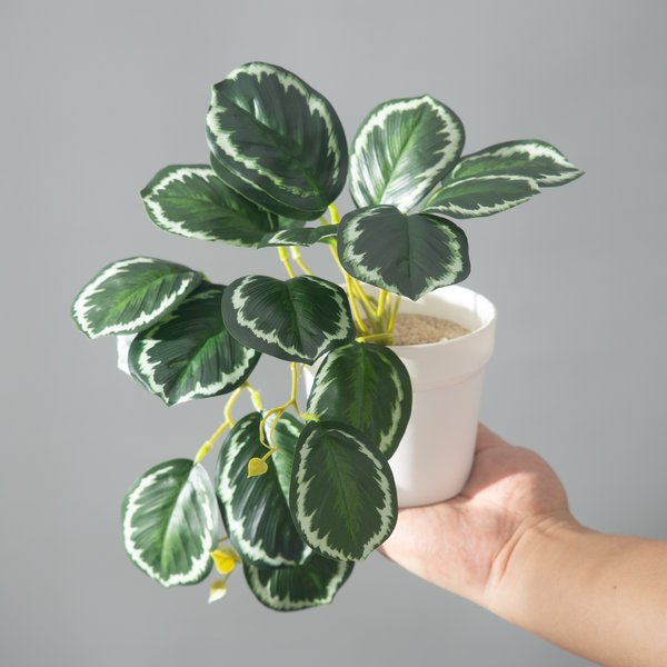 Plantes Monstera artificielles 25cm, feuilles de palmier tropicales, petites plantes, faux feuillage d'arbre, feuilles suspendues pour Halloween et noël