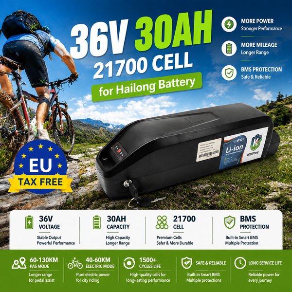 36V/48V 30AH pour pack de batteries lithium Hailong, cellules 21700 avec module BMS de 40A-50A maximum, alimentation pour vélo et scooter électriques de 500-1500W