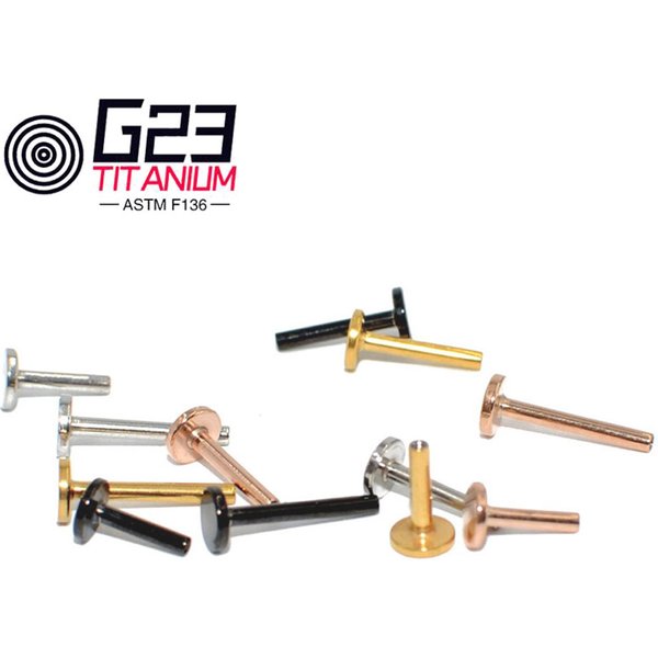 Base en titane G23 pour Labret, anneau de perçage antarctique, boucles d'oreilles, base filetée à l'intérieur, bijoux de corps, 14G, 16G, 10 pièces