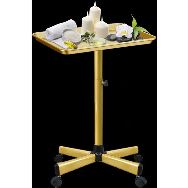 Salon Rolling Tray Cart Beauty Multifunctional Salon Trolley Cart on Wheels