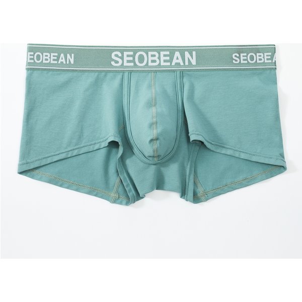 Brand Men's Cotton Underwear Low Waist Sexy Trendy Briefs Comfortable Sweat-Absorbent Antibacterial Boxer Shorts Underpants