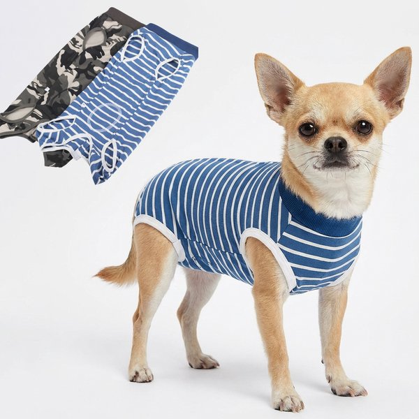 Combinaison de récupération post-opératoire pour chien, vêtement chirurgical pour plaies abdominales, anti-léchage, pour chiens de petites et moyennes races