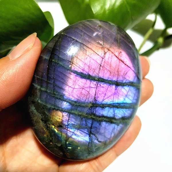 Pierre de palmier en cristal de Labradorite violette naturelle, décoration de salle, ornement de Labrador, sorcier, Chakra, méditation spirituelle, guérison