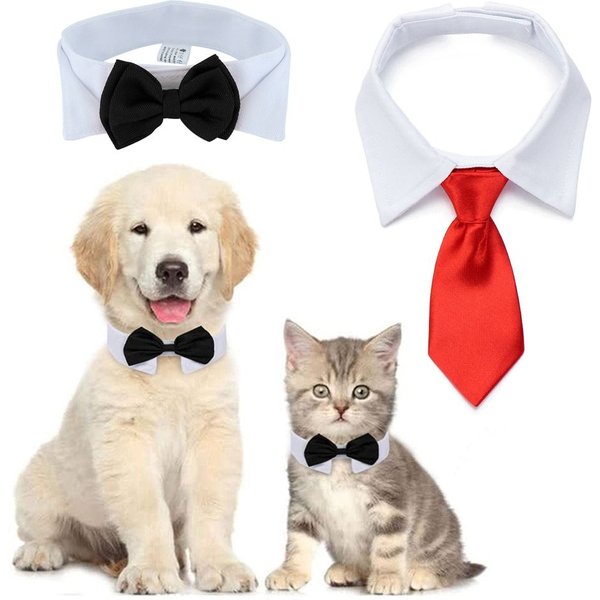 Pet Black Bow Tie Dog Collar for Weddings with Handcrafted Adjustable White Collar and Black Tie