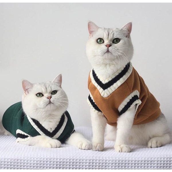 Pull d'hiver pour animal de compagnie, veste pour chien et chat, veste pour chiot, Costume Ubranka Dla Psa