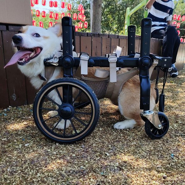 Fauteuil roulant pour chien à 4 roues, pour la rééducation des pattes arrière, fauteuil roulant pour chiots, aide à la mobilité réglable, fauteuil roulant pour chiens âgés
