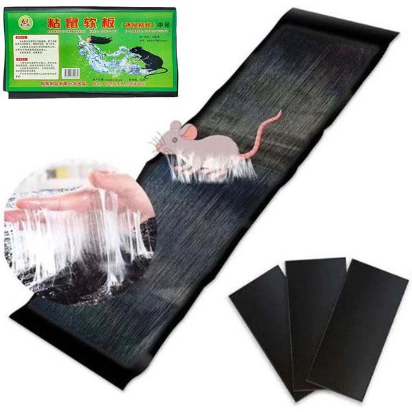 Planche à colle adhésive pour souris, 10 pièces, piège à souris, colle collante pour Rat, Non toxique, lutte antiparasitaire pour la cuisine du Restaurant