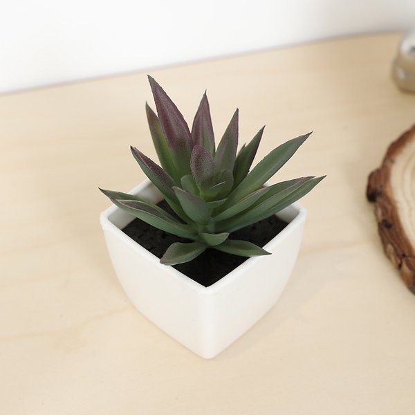 Mini künstliche Sukkulenten-Feentasse, kleine Topfpflanze, weiße Kunststoffvase, Schreibtisch, Fensterbank, Bücherregaldekoration