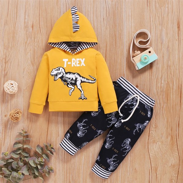 Ensemble de vêtements d'automne et d'hiver pour nouveau-né garçon, haut à capuche et pantalon à manches longues imprimé dinosaure, tenue décontractée pour enfant en bas âge de 0 à 3 ans