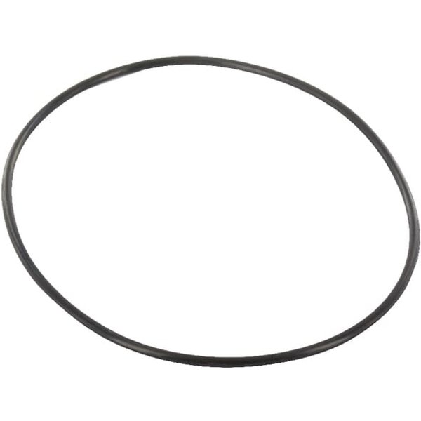 Vicon O-ring 101.3 x 2.6 Rau VN36107342