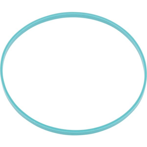 CNH Guide Ring 5125640