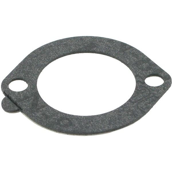 Briggs & Stratton Filter gasket 271935S