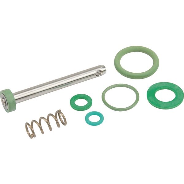 Birchmeier Gasket kit trigger Viton (10B) REB 11664910