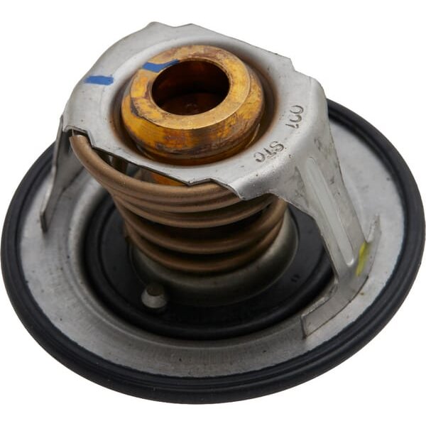 FPT Industrial Thermostat 504380075FPT