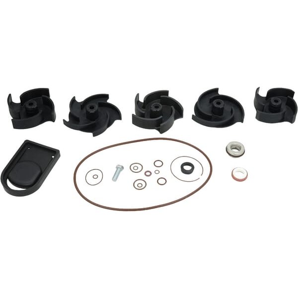 Banjo Repair kit 2" Poly pump FKM 12000AV