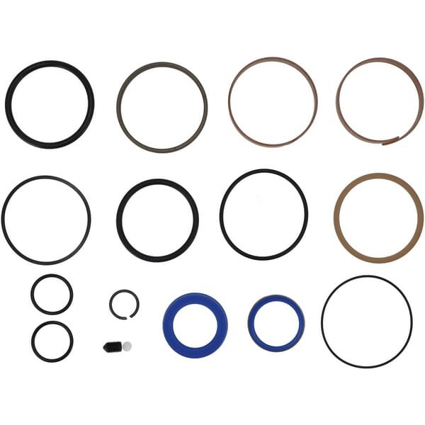 Kubota Seal kit RG20894310