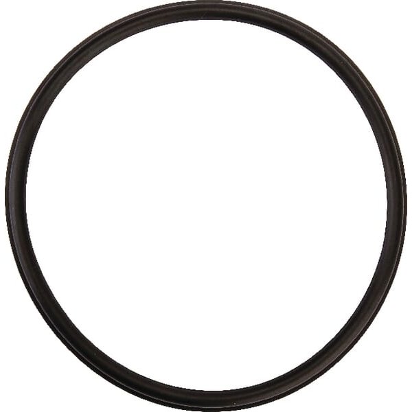 Battioni Pagani Lip seal 6" SA2