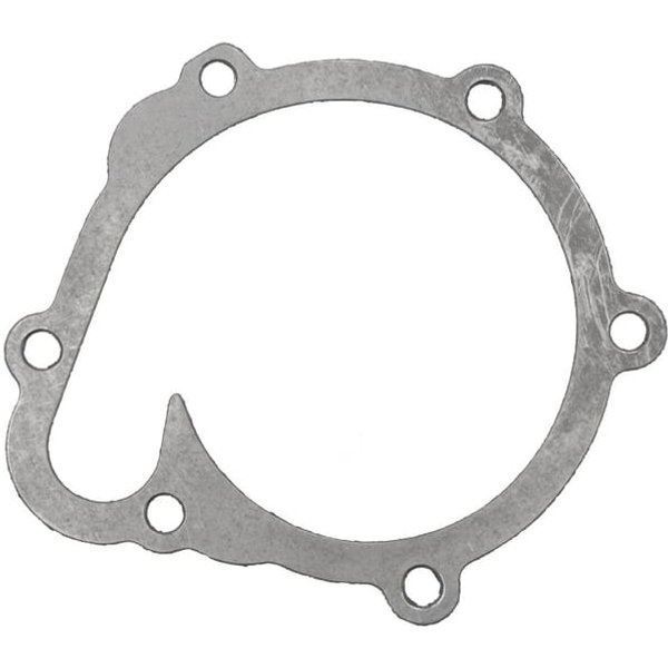 Agco Gasket, water pump F119200610040