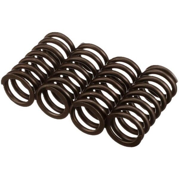 FPT Industrial Valve spring 504110997FPT