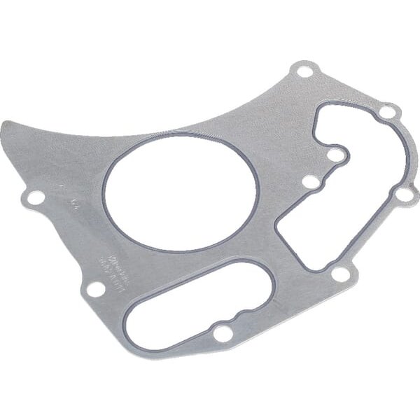 Massey Ferguson (AGCO) Water pump gasket 4224960M1