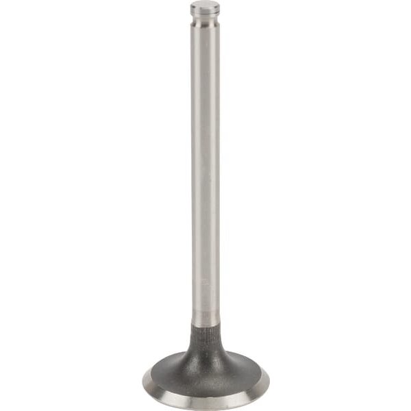 Kawasaki Intake valve 120047002