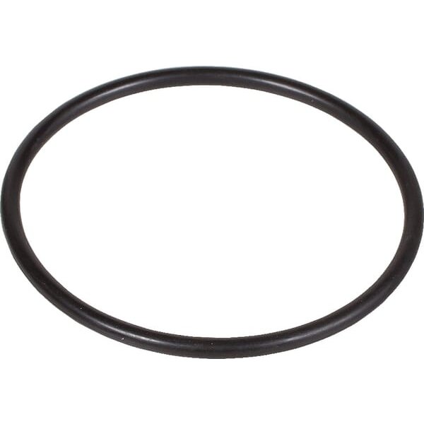 New Holland (CNH) Seal 190003121132