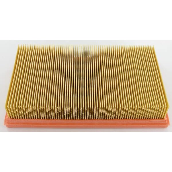 Lombardini Air filter 2175164
