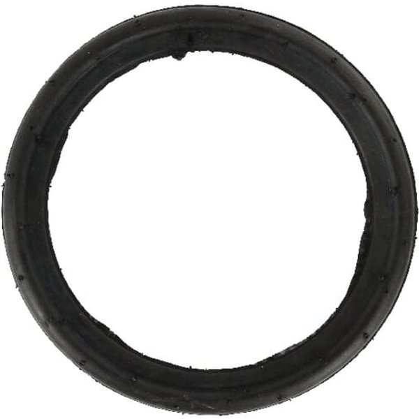 Kverneland / Kleine Ring for press roll, 208x15 KL810930
