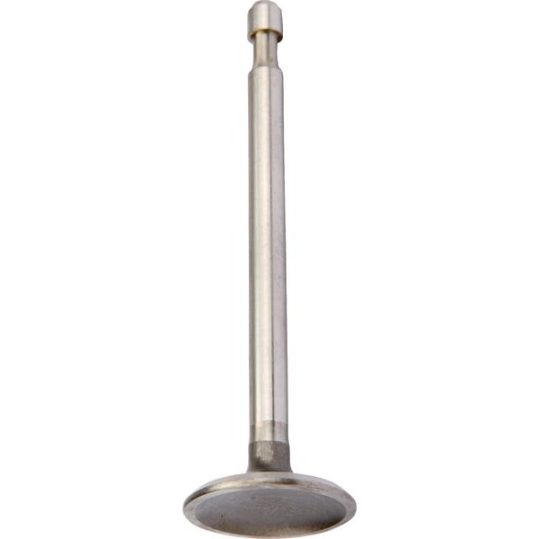 Briggs & Stratton Intake valve 590393