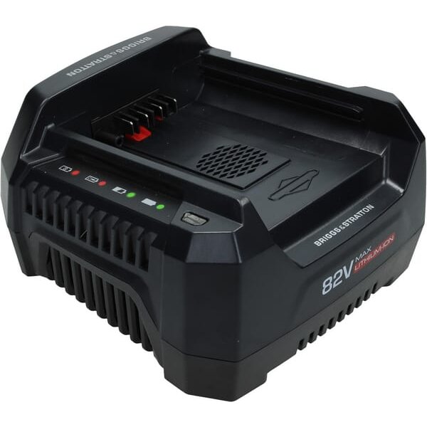 Briggs & Stratton Battery charger 220v 1760264
