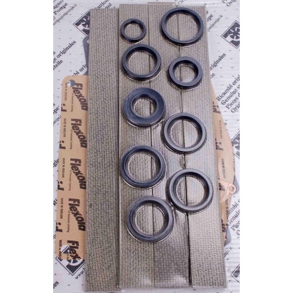 Battioni Pagani Repair kit MEC8000 with Long Life vanes AME7SPKIT