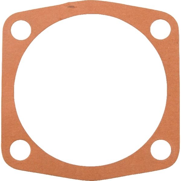 Maschio Gasket 0,5 mm M19100108R