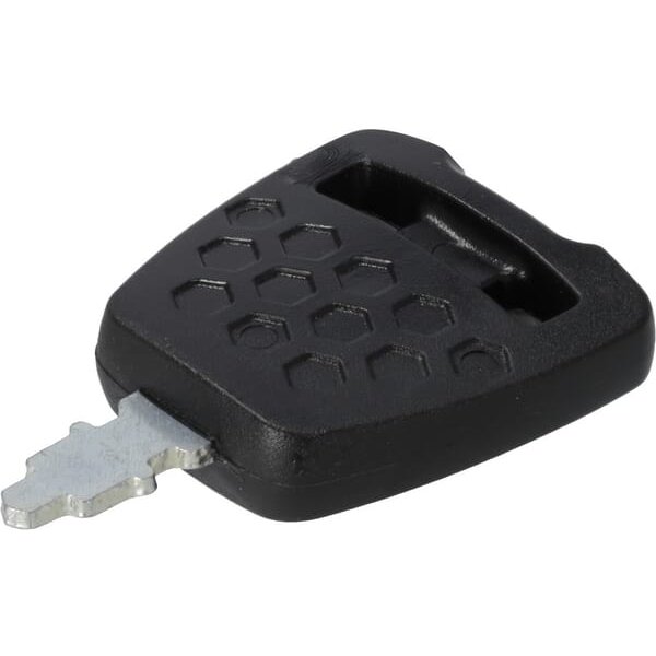 AL-KO Key AK476286