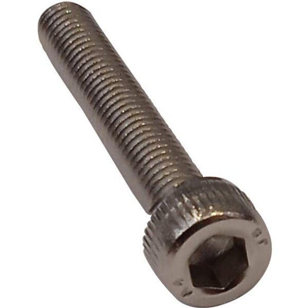 Ambrogio Screw C01742