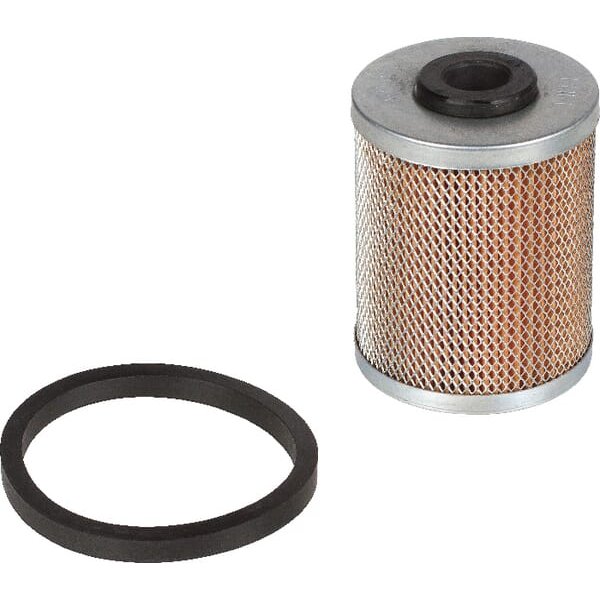 Lombardini Fuel filter in tank 2175205
