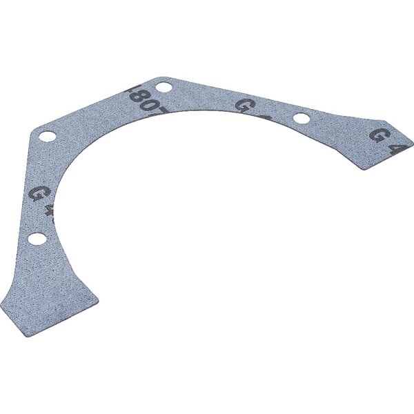 New Holland (CNH) Rear oil gasket 4849994