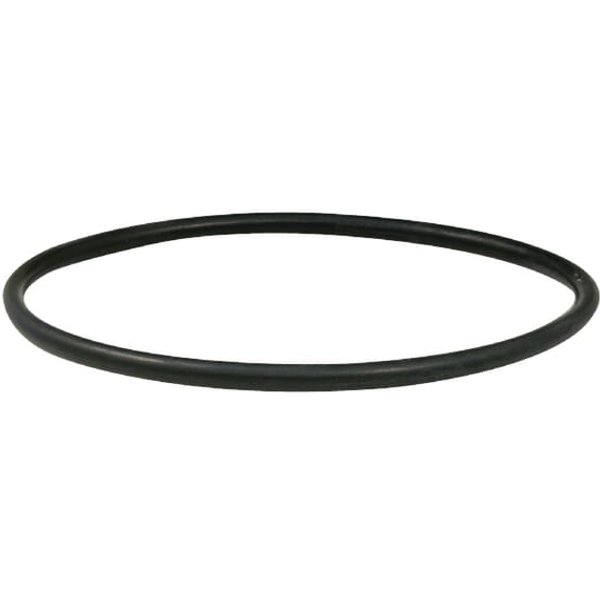 Riv O-ring for 4''-6" flange RIV9858456