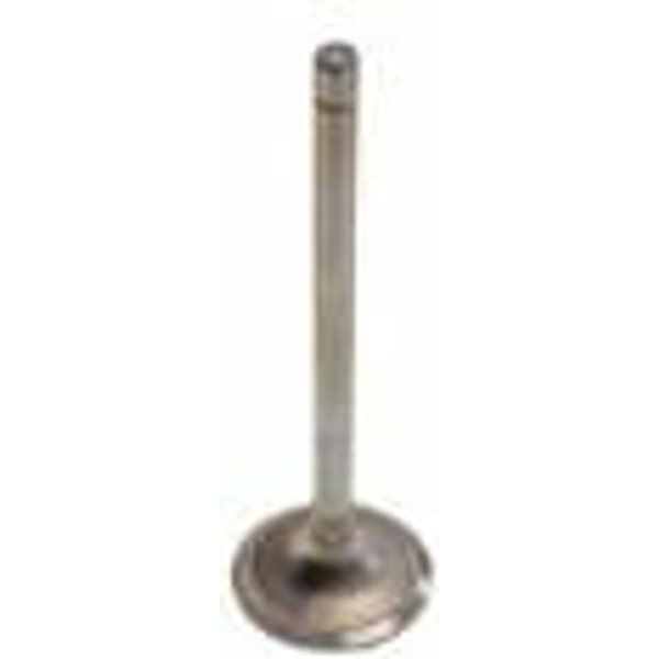 FPT Industrial Exhaust valve 504387779FPT