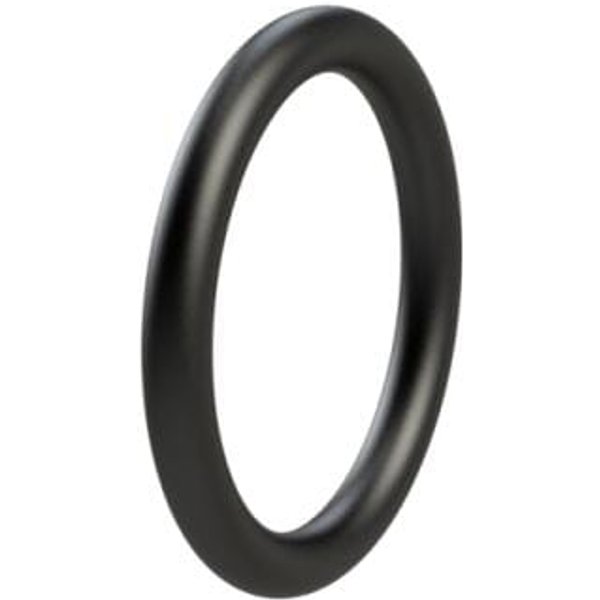 Kramp O-ring 255x5.7mm 70 shore OR255570P001