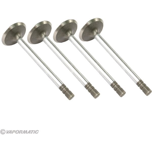 Vapormatic Inlet valve (x4) VPA1350