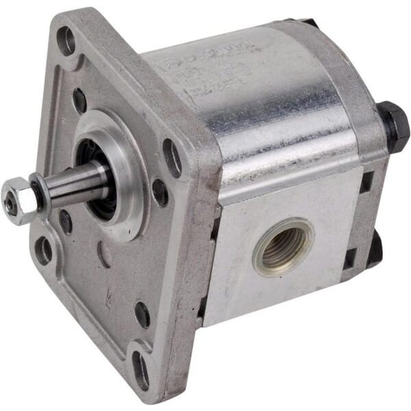 Casappa Pump PLP10.4 D0-81E1-LGC/GC-N- PLP104D081E1G