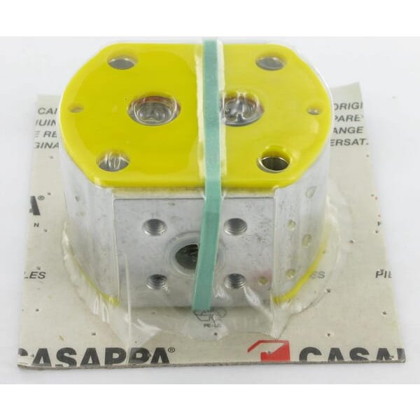 Casappa Rear section PLP10.3,15 D0-88V6-LBB/BA-N-I FS PLP10315DII
