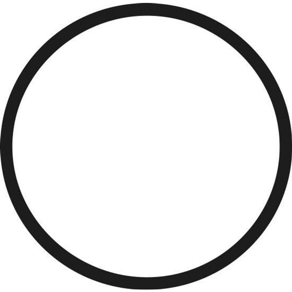 Kawasaki O-ring 42 mm 920557026