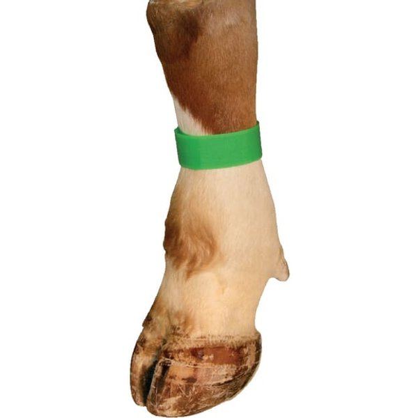 Unbranded Green velcro marking bands (10 pack) VV8133