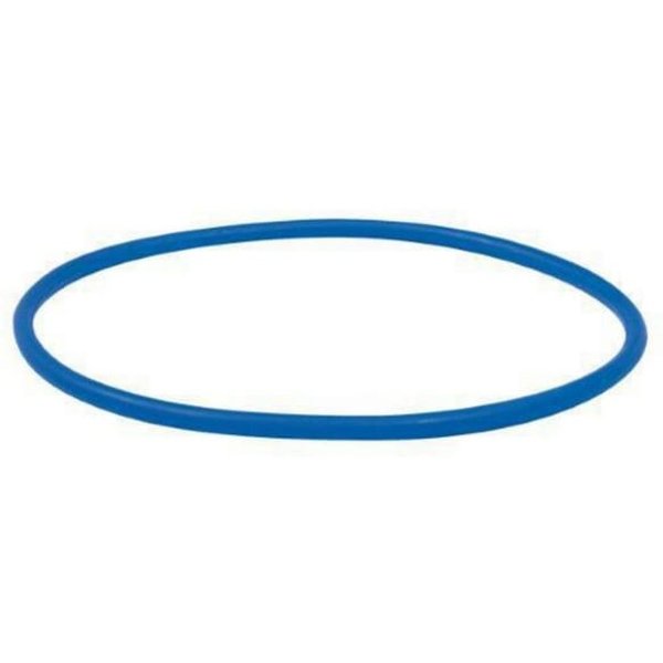 Riv O-ring for flange 6" RIV9859150