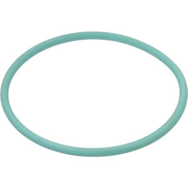 Arag O-ring 9.19x2.62mm 70 shore Viton green G11038V